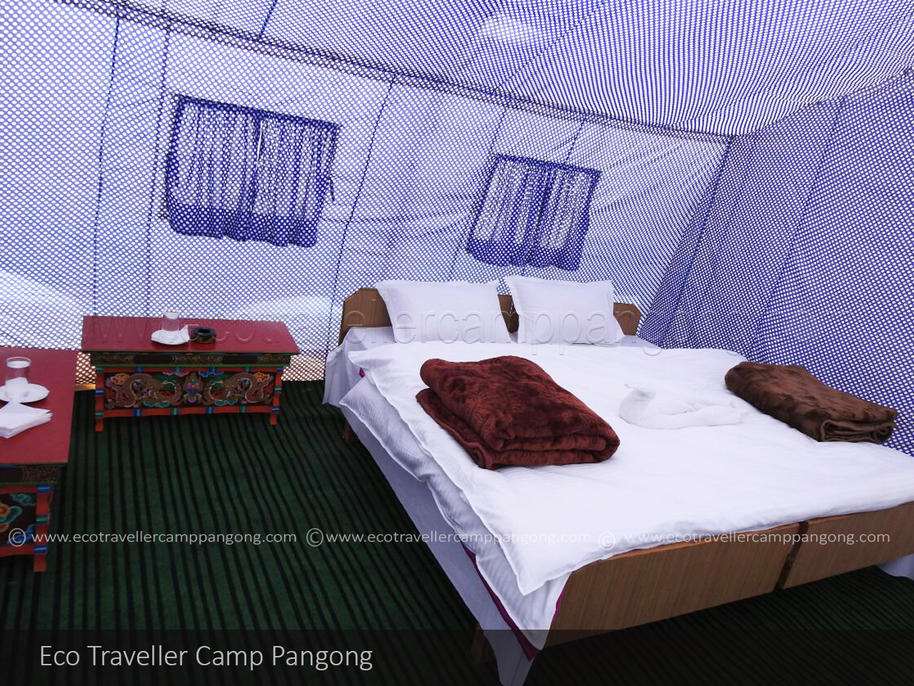 Eco Traveller Camp