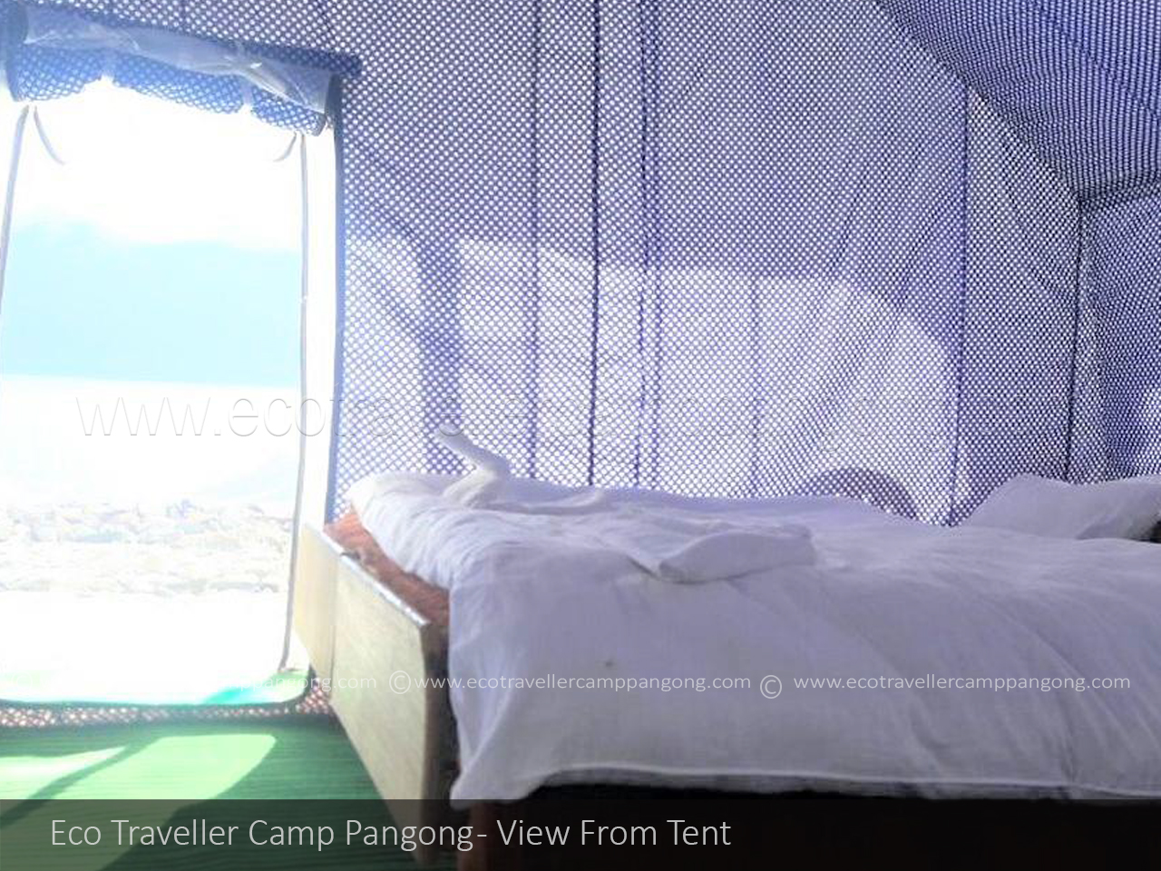 Eco Traveller Camp