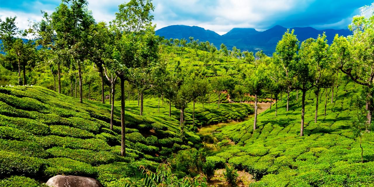 Best Romantic Escape to Kerala With Freebies