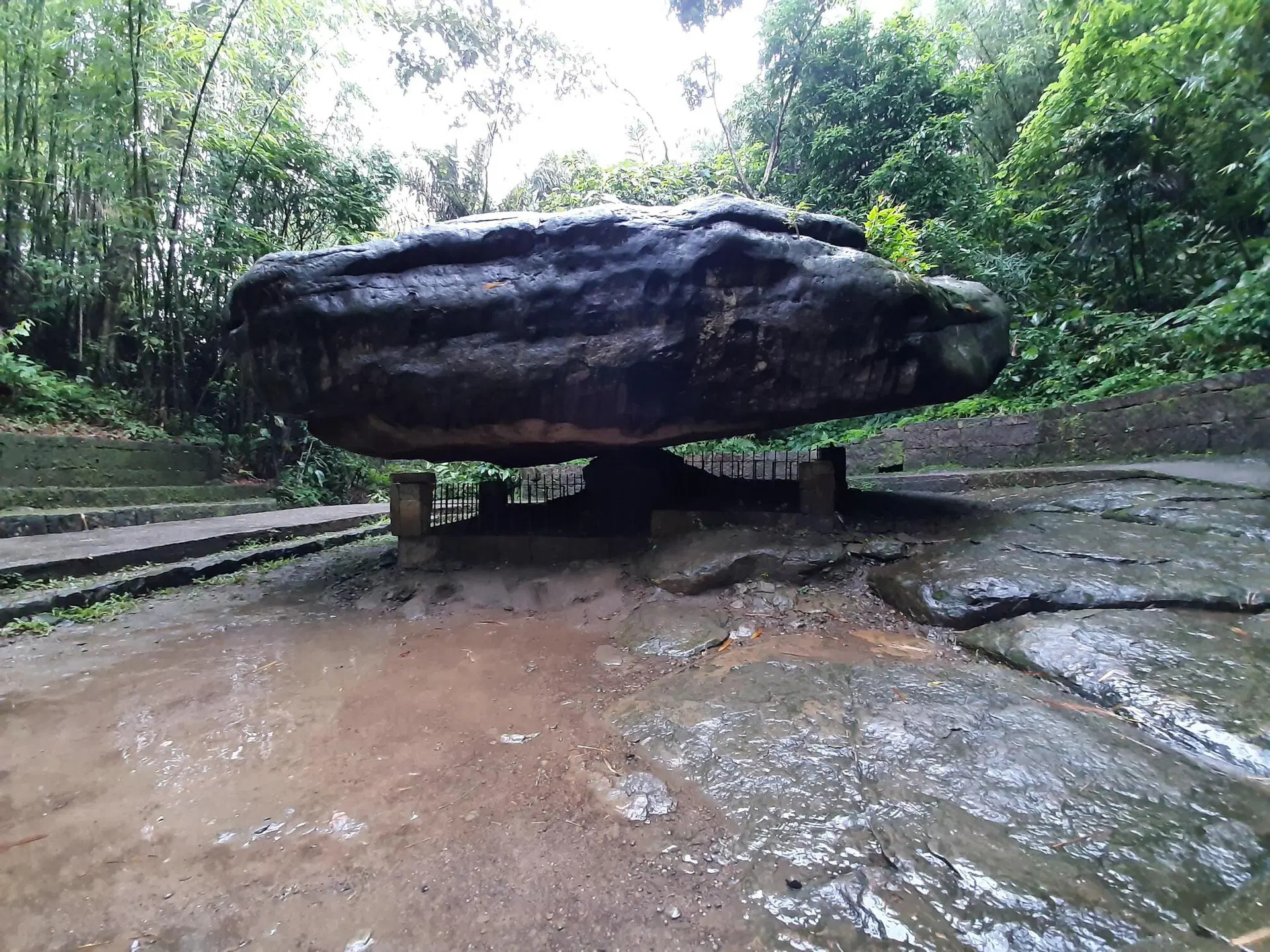 An Adventure in Meghalaya - Living Root Bridge Trek