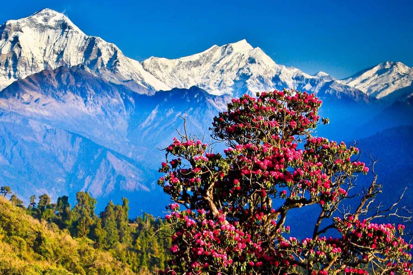 Celebrate Love with Nepal Honeymoon Package