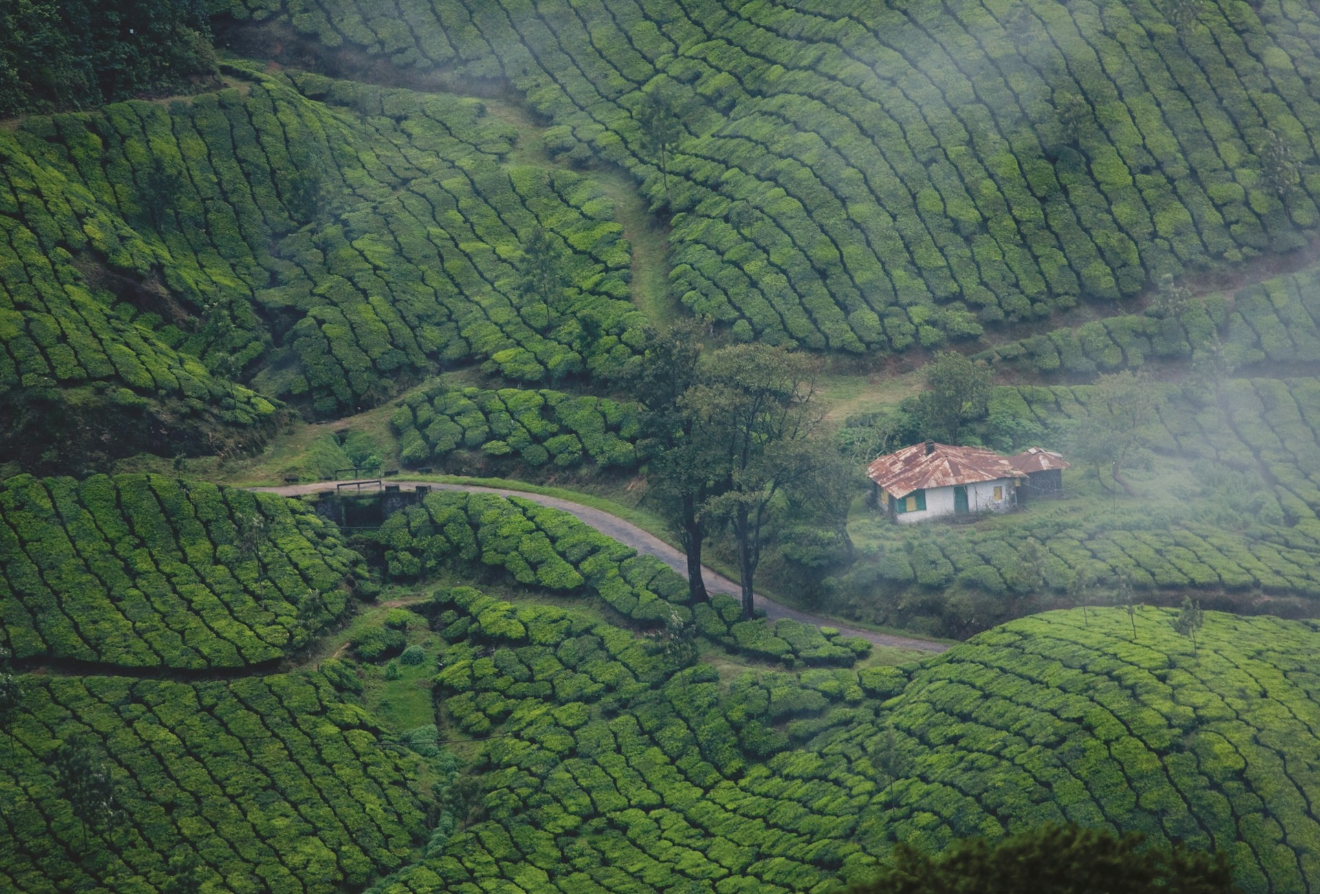 Discover Kerala - A Journey to God's Own Country