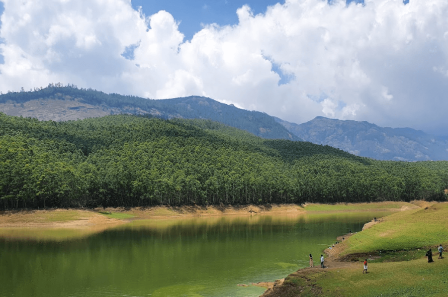 Majestic Munnar - An Exclusive Journey into Nature's Paradise