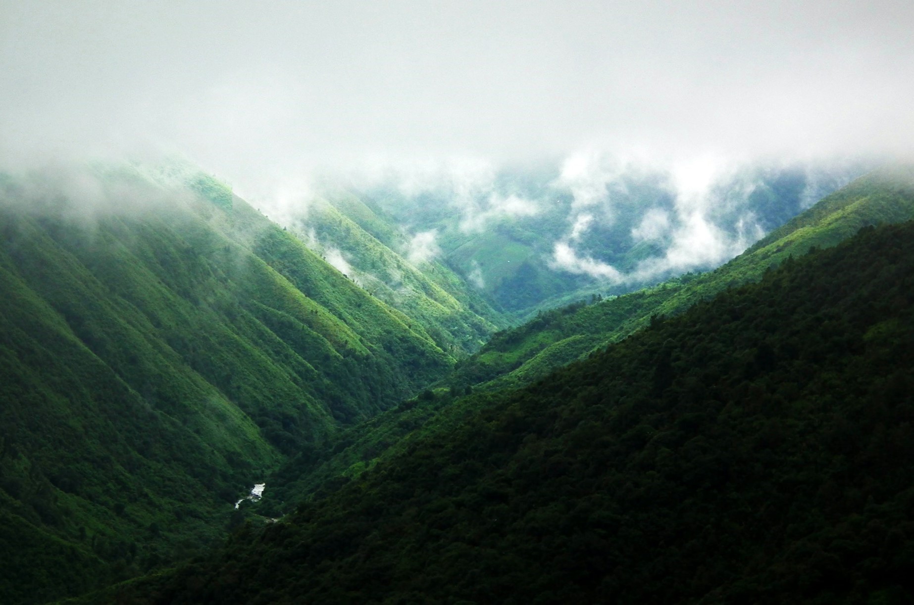 Mystic Meghalaya - A Journey Beyond Clouds