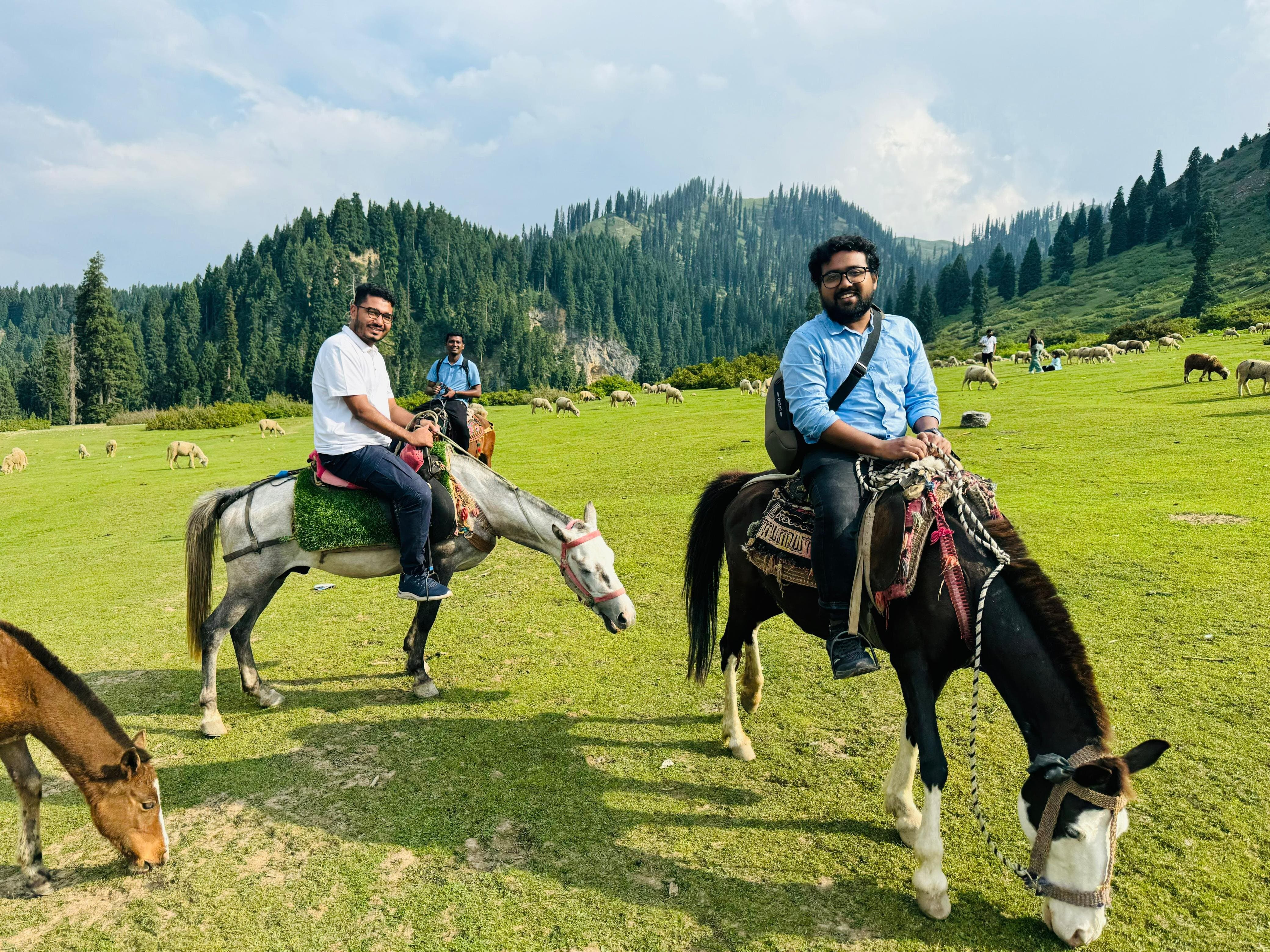 Kashmir Dreamscape: 8 Days of Enchantment and Elegance