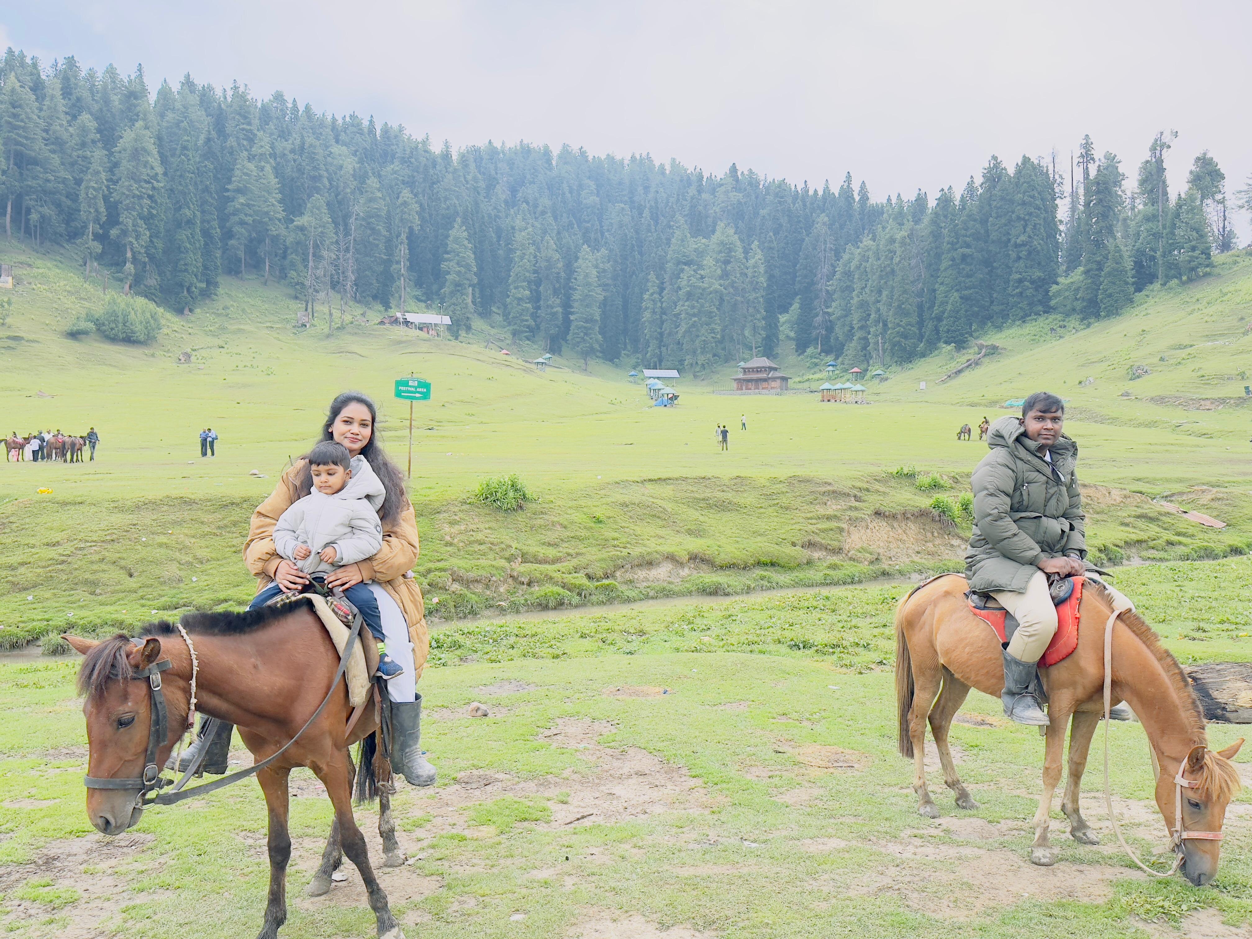 Kashmir Dreamscape: 8 Days of Enchantment and Elegance