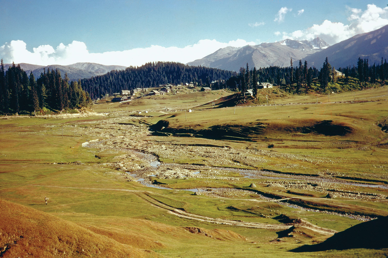 Splendid Kashmir